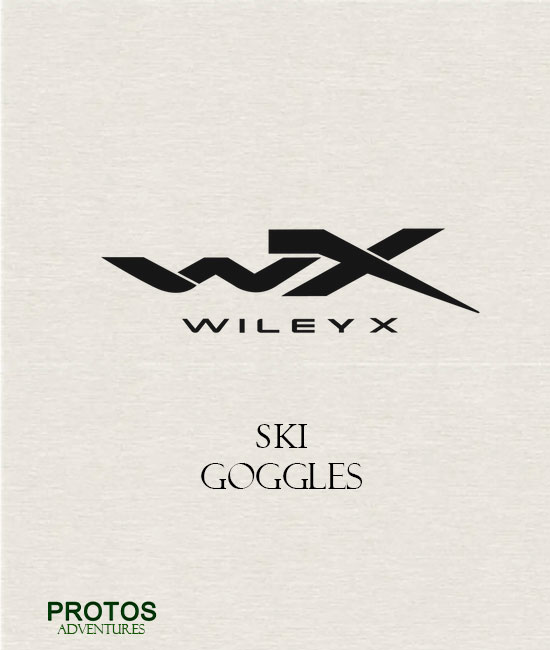 Ski Goggle