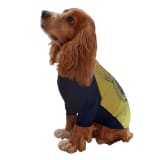 Miniatura 2 de Camiseta Deportiva Colombiano hasta las pulgas