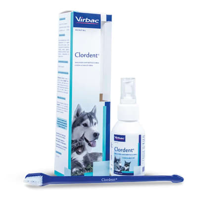 Clordent Spray