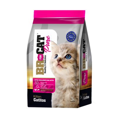 BR For Cat Gatito