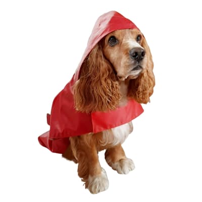 Impermeable gabardina color rojo