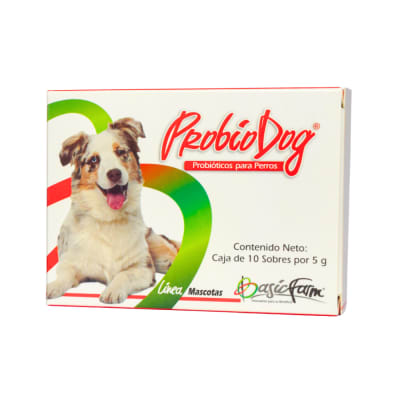 Probiodog Perro Sobre Individual