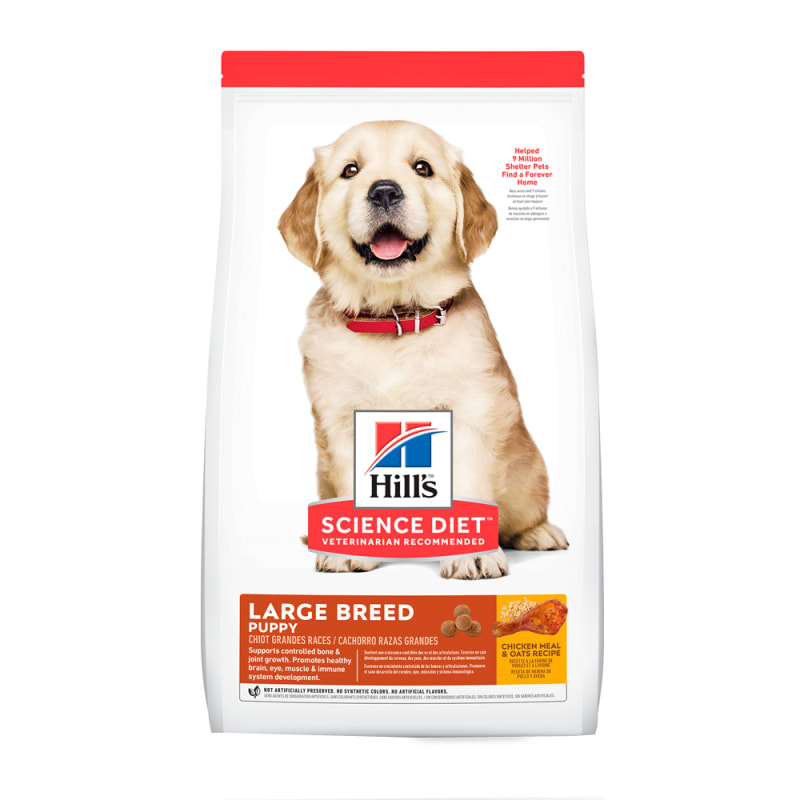 Imagen principal de Hills Puppy Large Breed