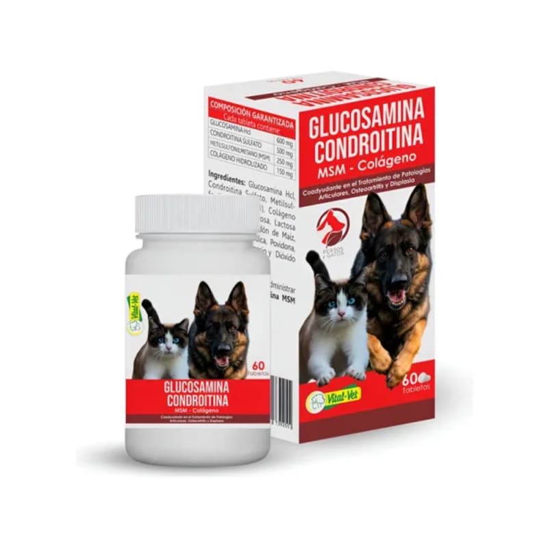 Imagen principal de Glucosamina Y Condroitina X60 Tabletas