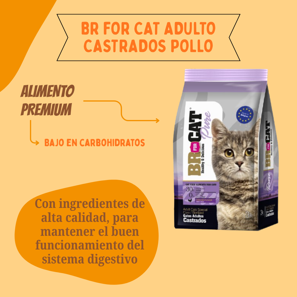 BR for Cat