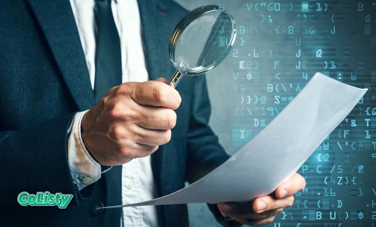 The Role of an Auditor