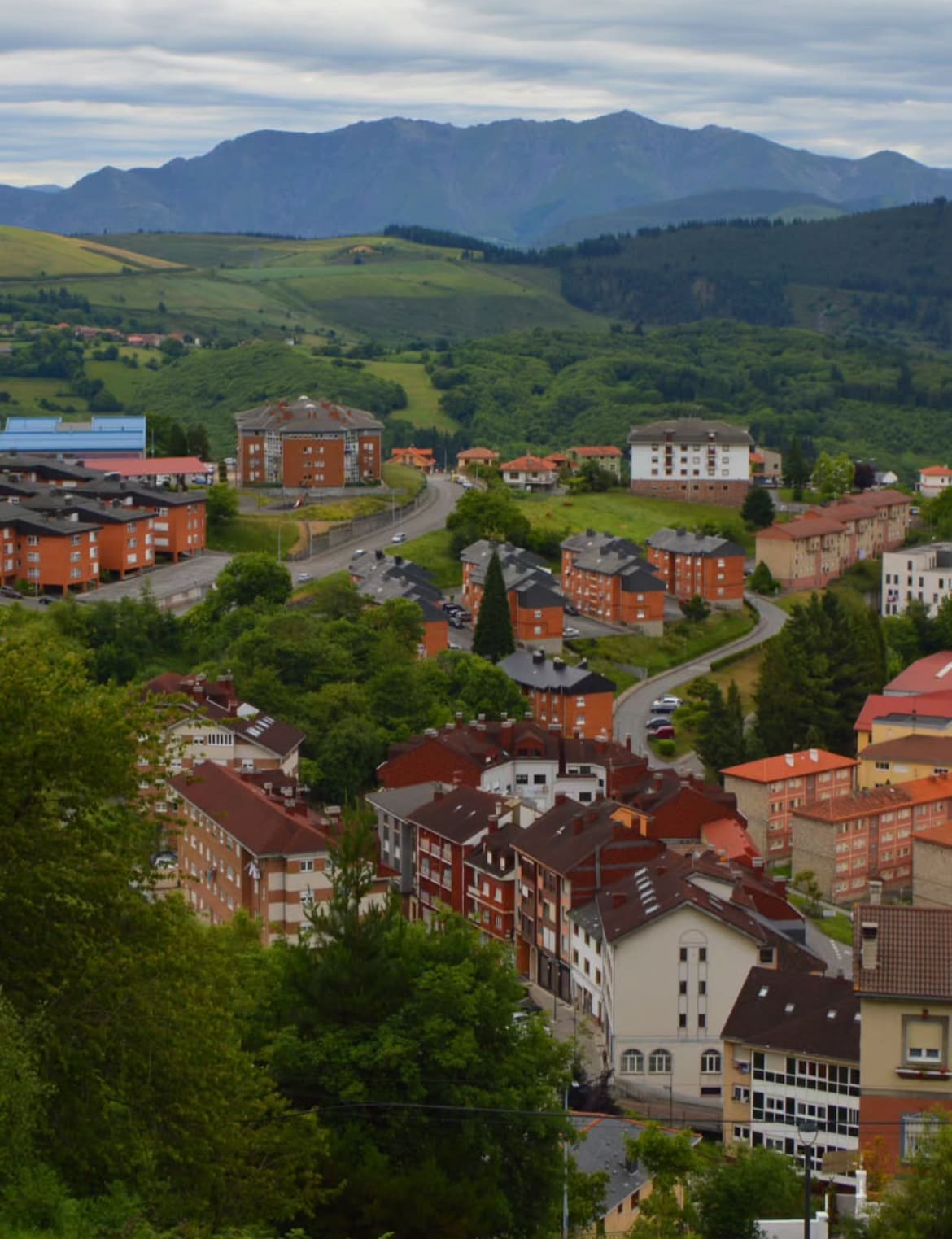 Panorámica de Tineo, con vista al pueblo y las montañas