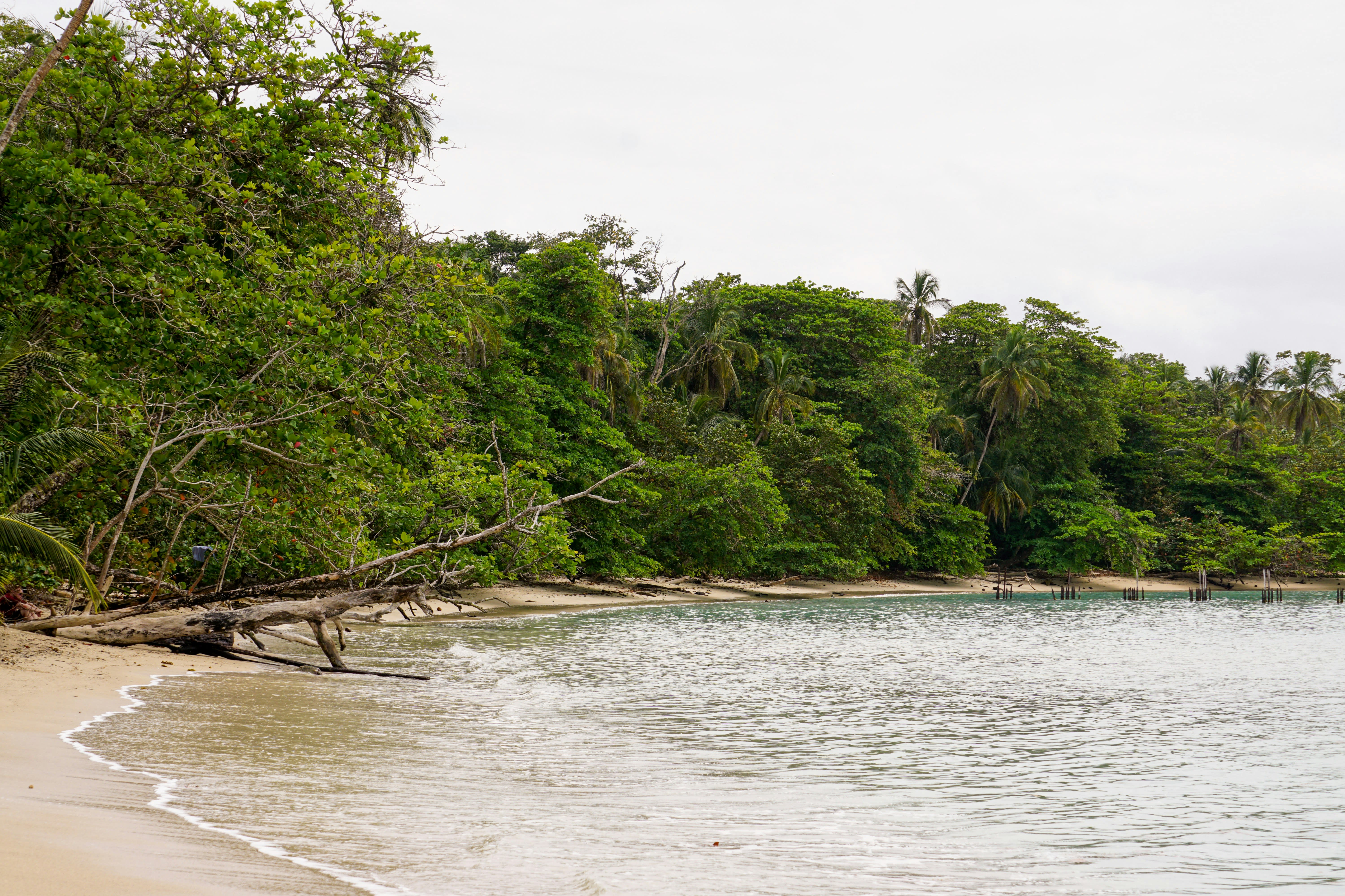 Parque Nacional Manzanillo
