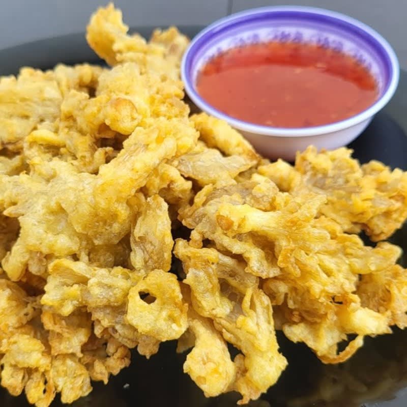 ផ្សិតបំពង