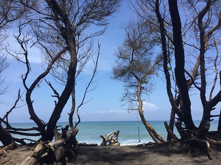 Pantai Goa Cemara