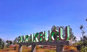 puncak bucu