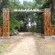 Wanagama 1000 Selfie (WG1000S)