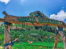 Terasiring Sriharjo