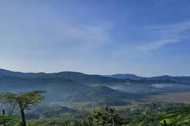 Geger Menjangan