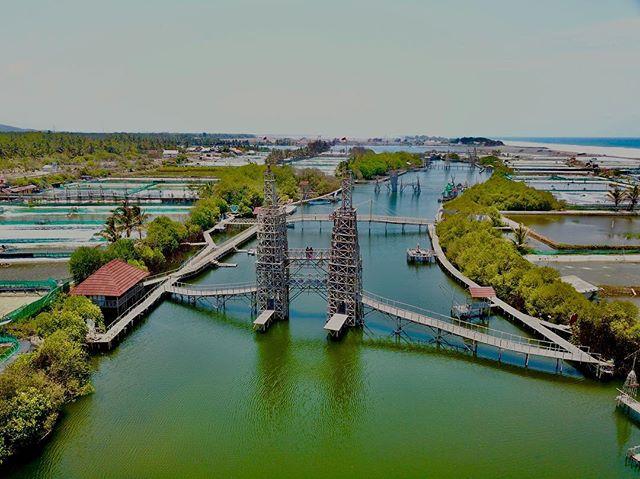 Mangrove Jembatan Api-Api (MJAA)