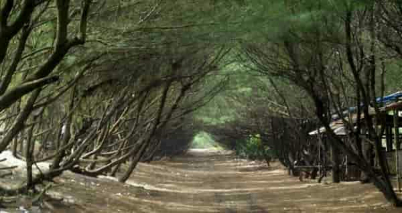 Pantai Kuwaru