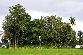 Situs Gedong Pusoko