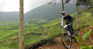 Puncak Kobango Bike Park