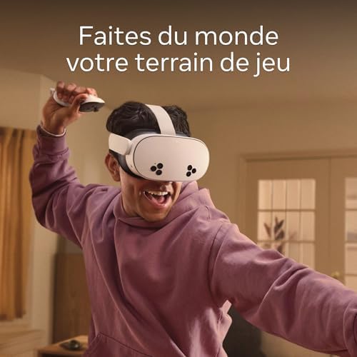 Vue 2 de Meta Quest Go