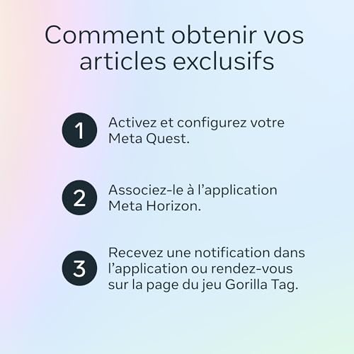 Vue 4 de Meta Quest Go Le