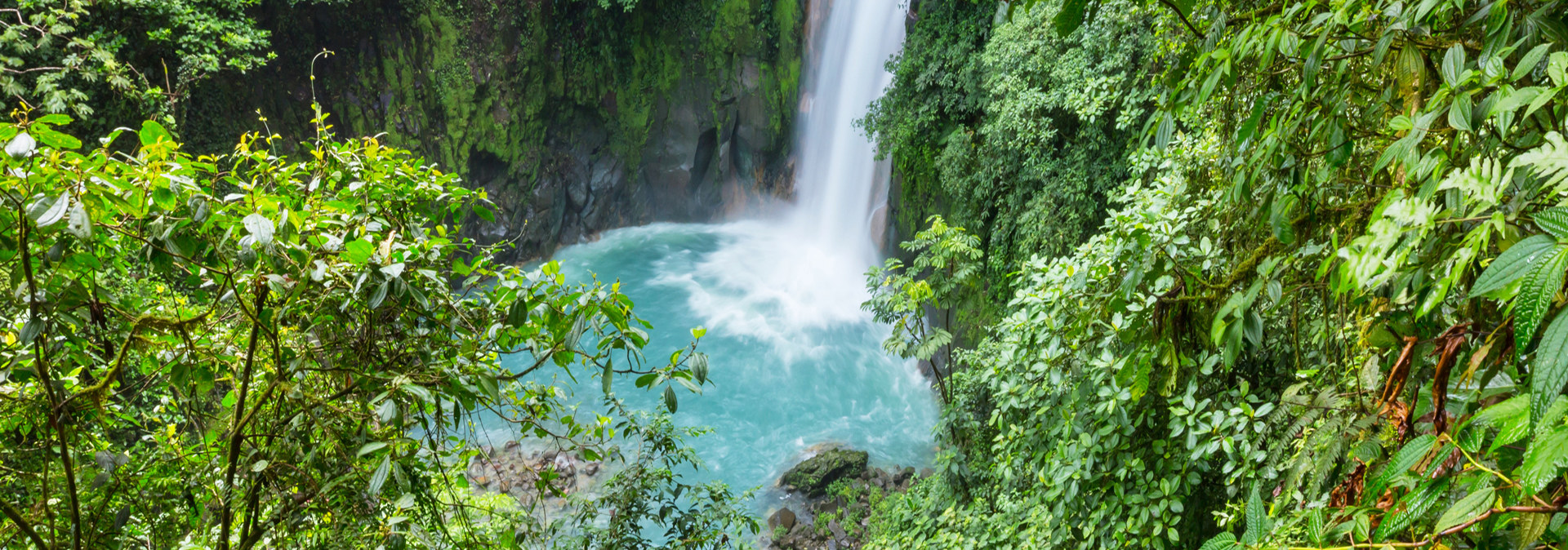 Selva y río celeste
