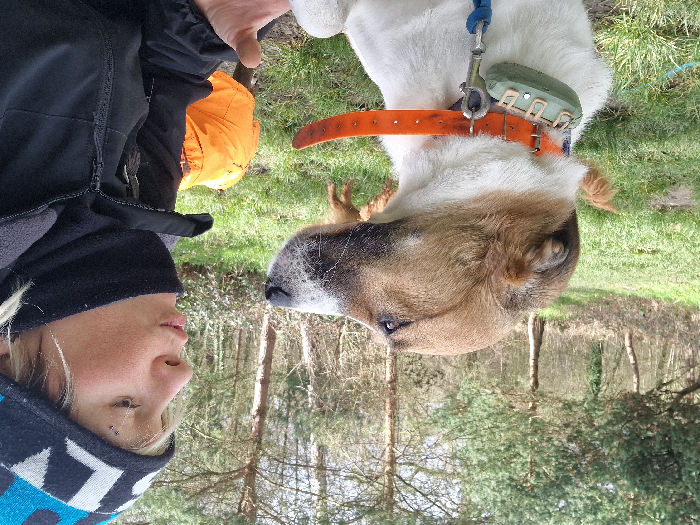 Moments avec les chiens