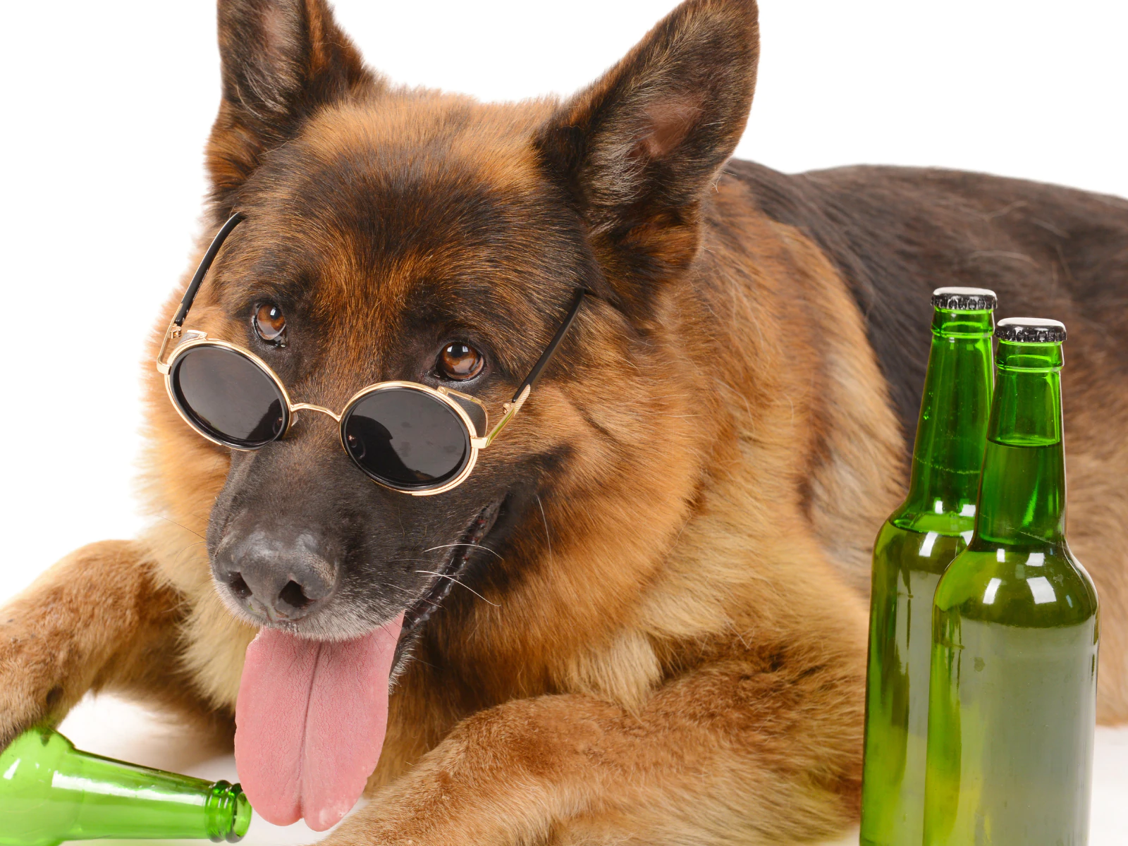 pet_image