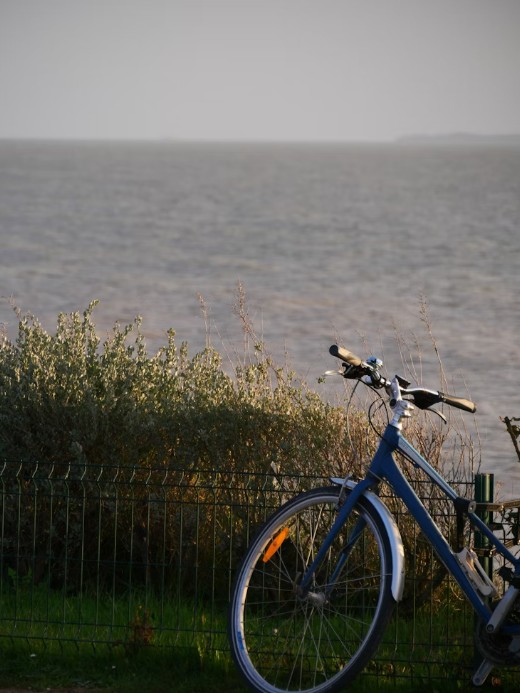 Bicycle by the sea.jpg