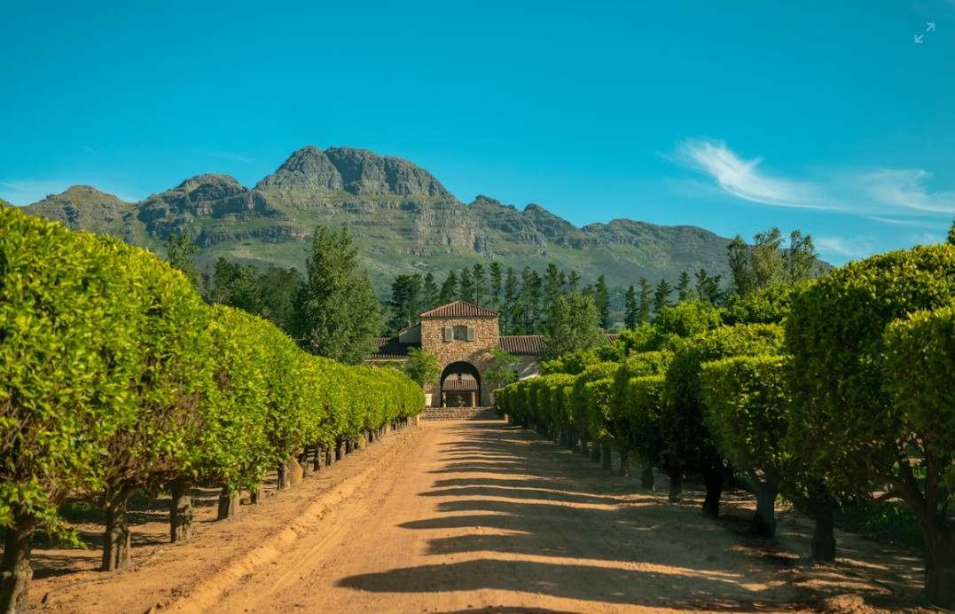 Stellenbosch.jpg