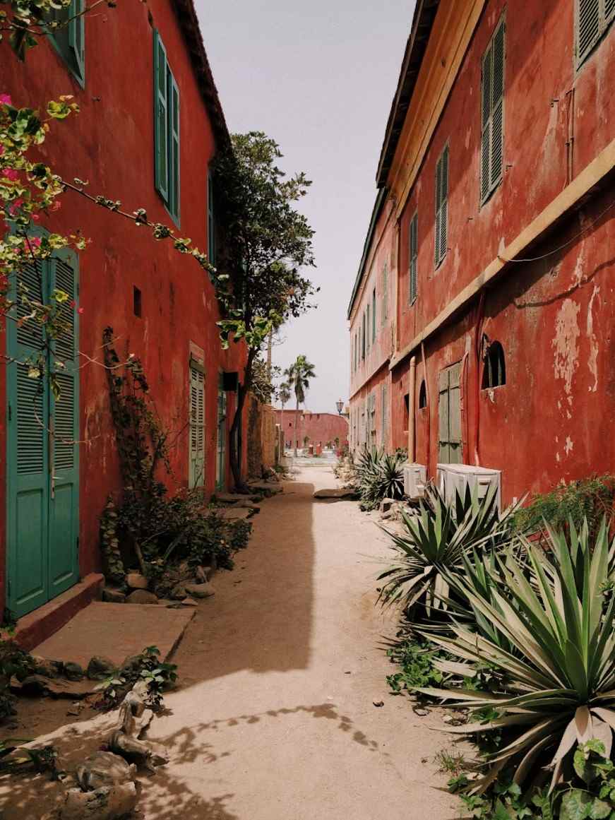 Una tipica strada senegalese.jpg