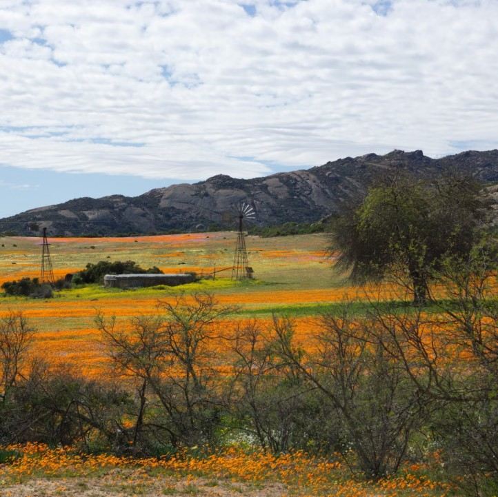 Namaqualand.jpg