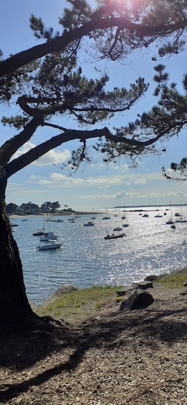 concarneau.jpeg