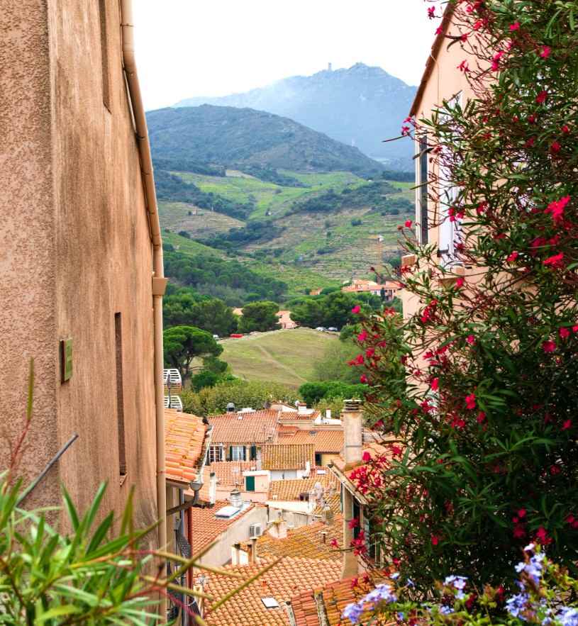 Collioure.jpg