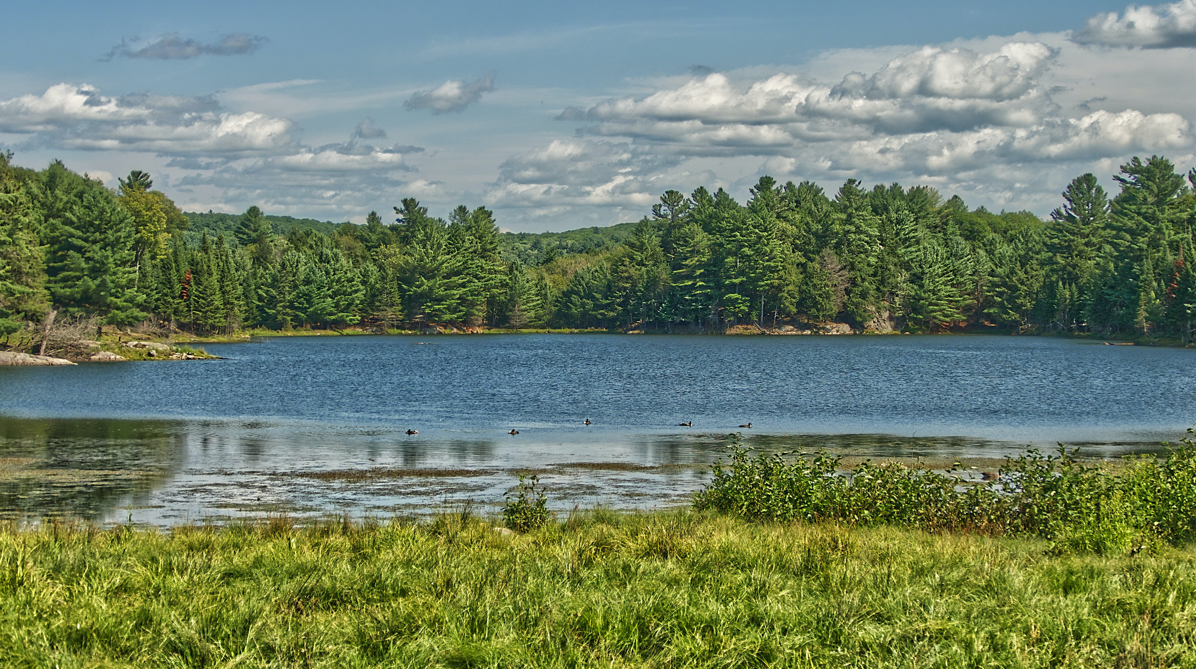 lac-québec.PNG