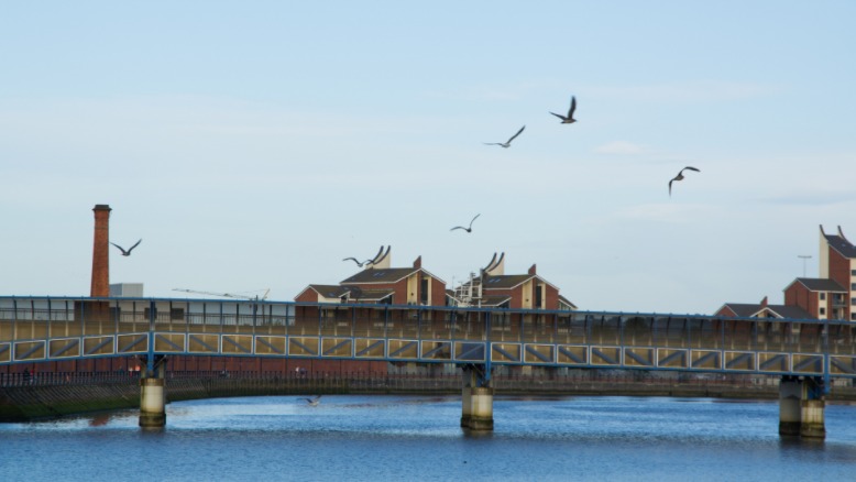 brücke-in-belfast-möwen-fliegen.jpeg