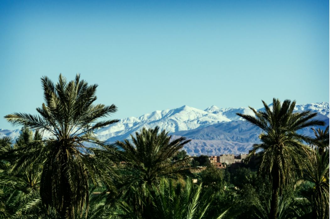 marokko-landschaft-palmen-und-gebirge.JPG