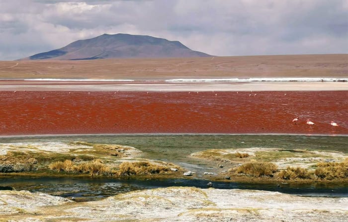 bolivia-provincia-del-sur-lipez-laguna-de-agua-roja.jpg