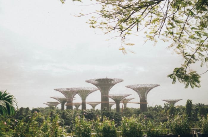 futuristischer-gardens-by-the-bay-park.jpeg