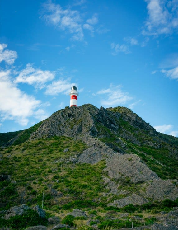 Cape Palliser.jpg
