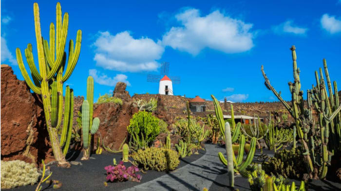 Le jardin des cactus, Lanzarote