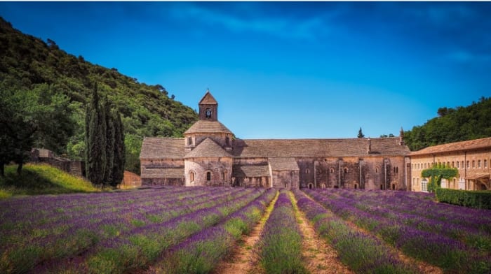 Monastère français et son champ de lavande.