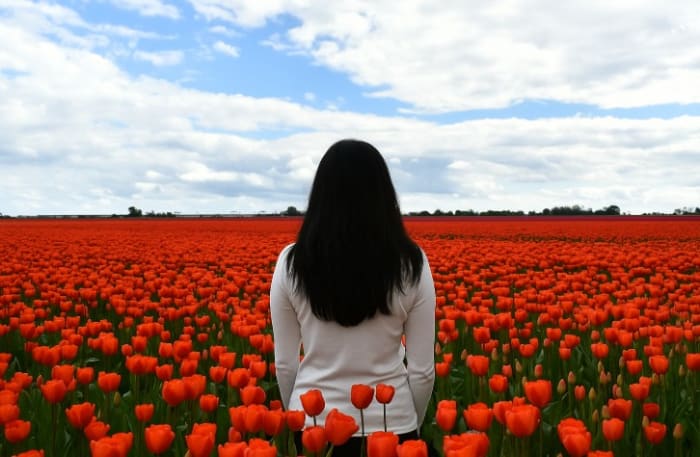 Touriste dans un champ de tulipe.jpg