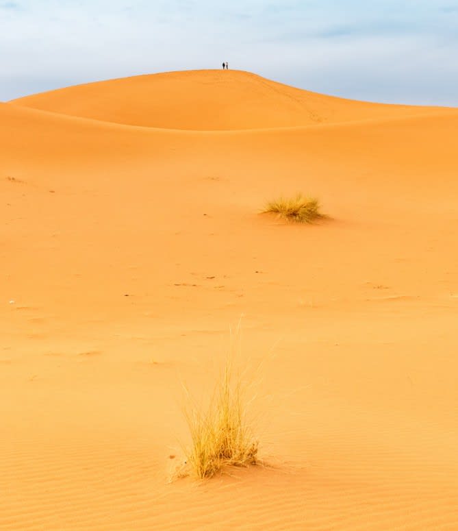 Sahara.jpg
