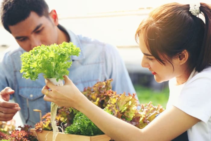 Intercambio de servicios