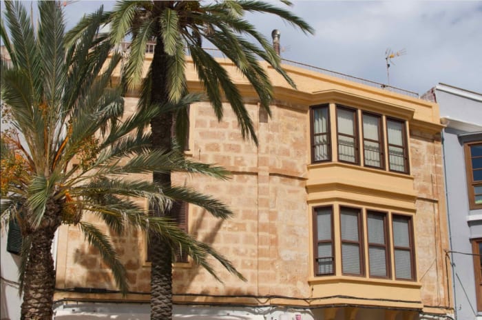 palm tree menorca.JPG