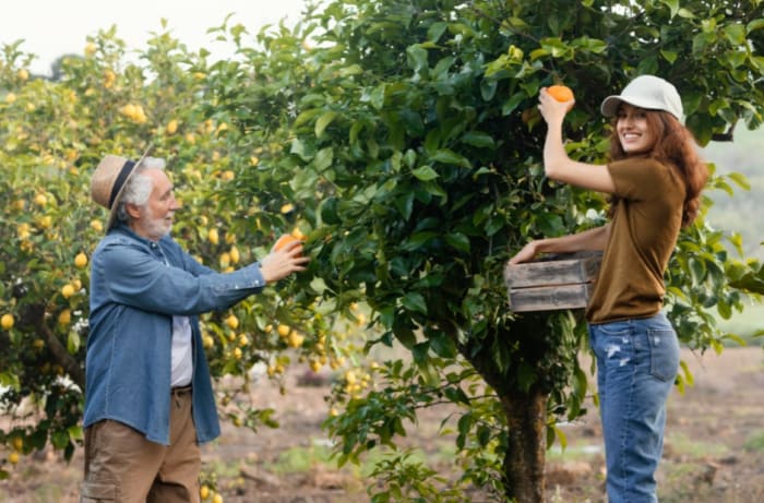 Il lavoro dà i suoi frutti