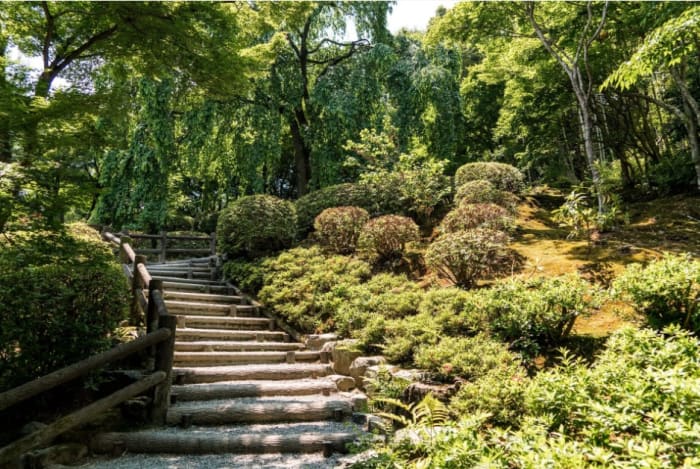 Tokyo, Japan's capital