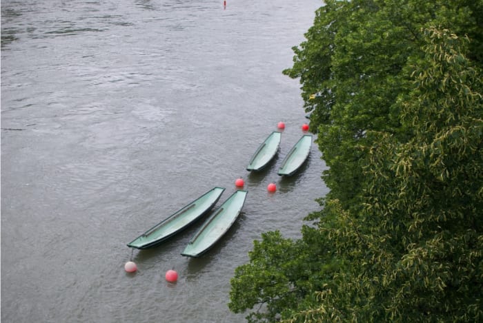 bords du Rhin.jpeg