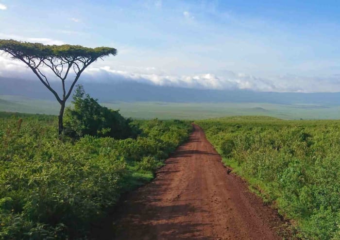 Tanzania.jpg