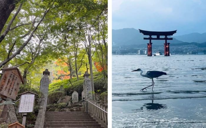 Hiroshima & Miyajima.jpg